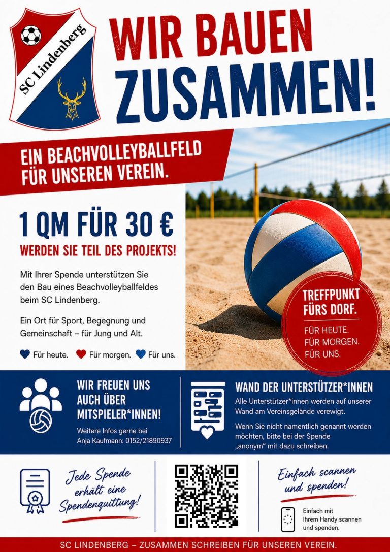 beachvolleypall flyer